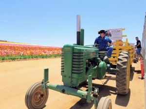 Carlsbad Flower Fields - Wagon Grand Tour